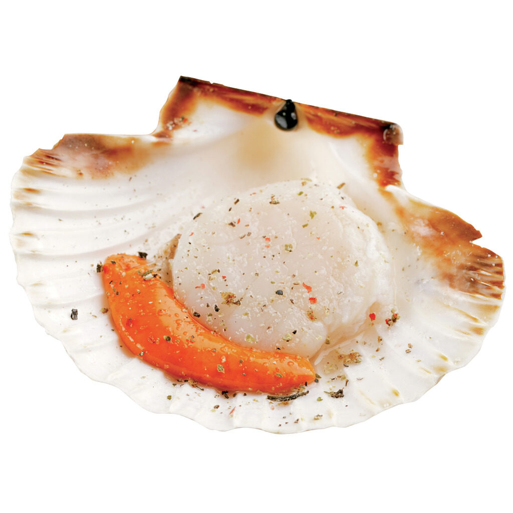 Noix de St-Jacques avec corail