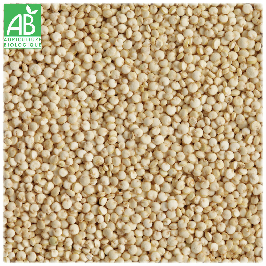 Graines de quinoa blanc Bio