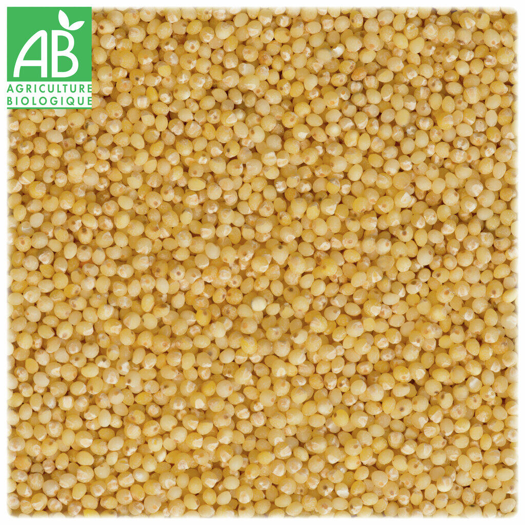 Graines de millet décortiquées Bio