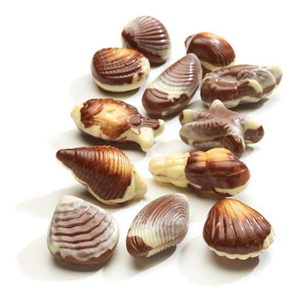 Bonbons fruits de mer praliné