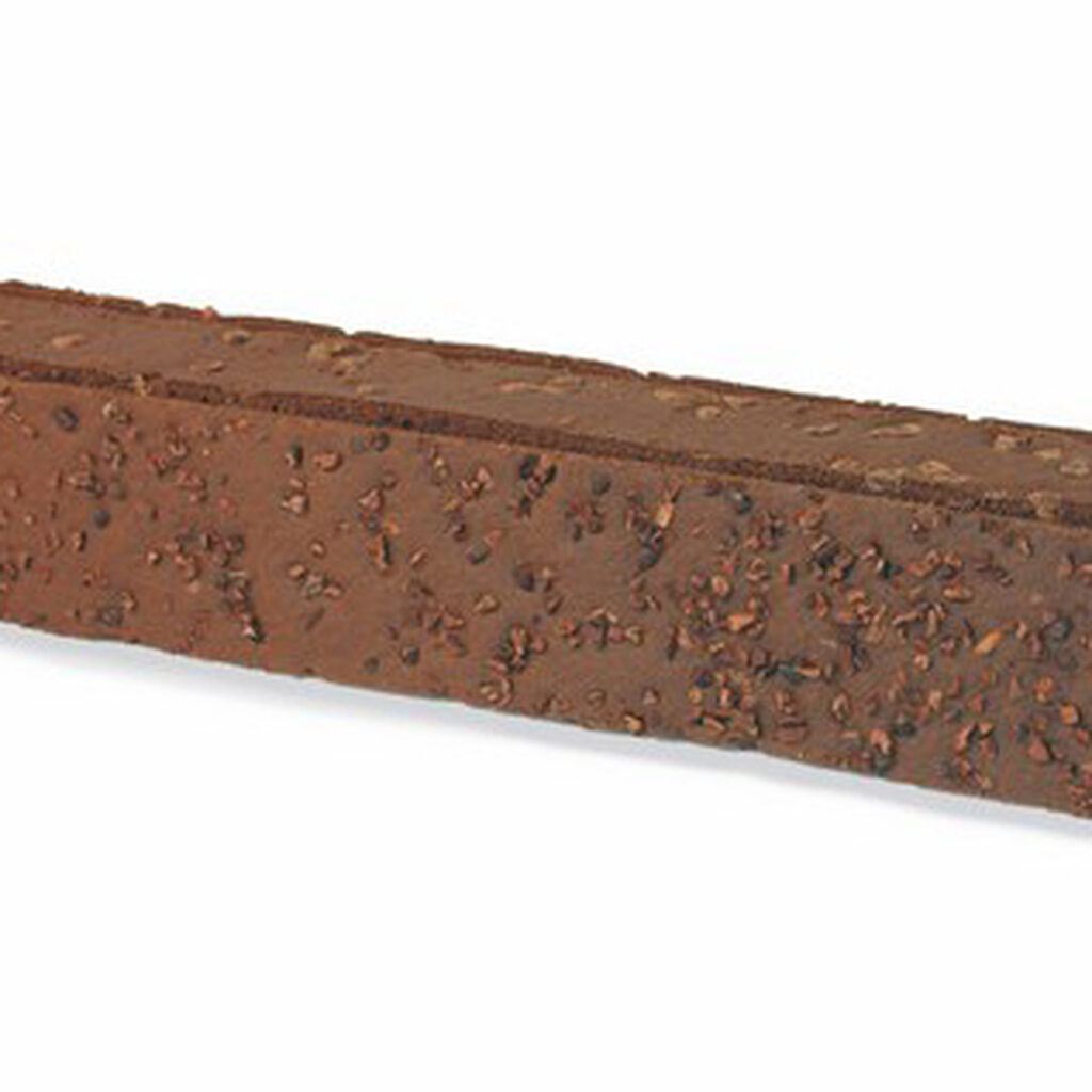 Biscuit cacao grué et pépites de chocolat