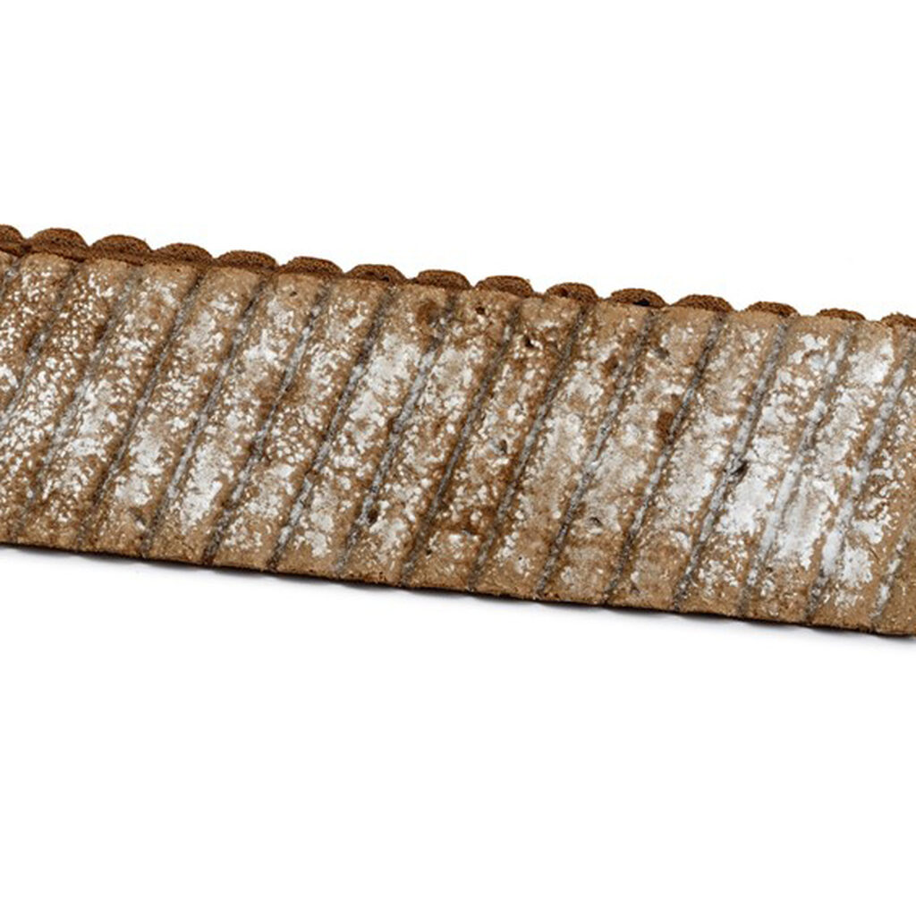 Biscuit peigné cacao oblique