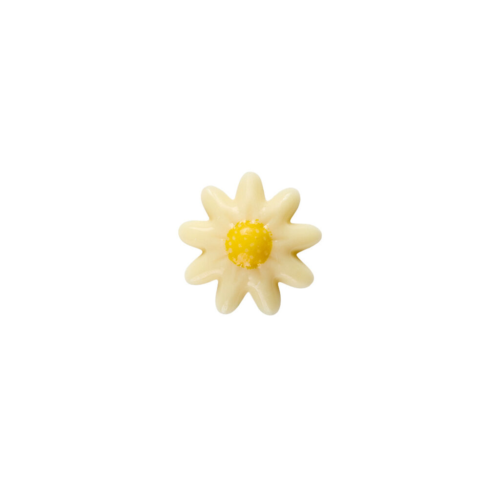 Petite marguerite chocolat