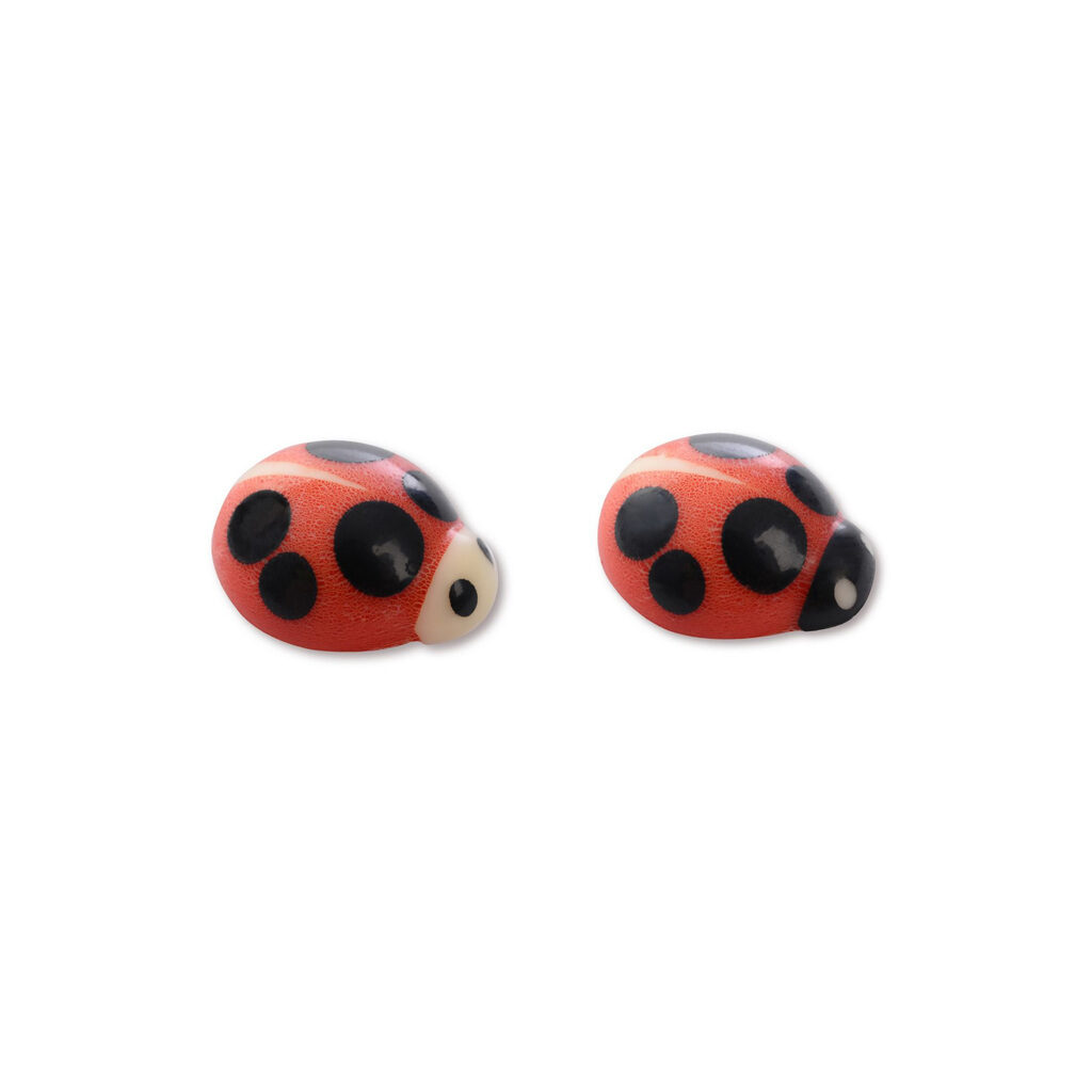 Coccinelles chocolat