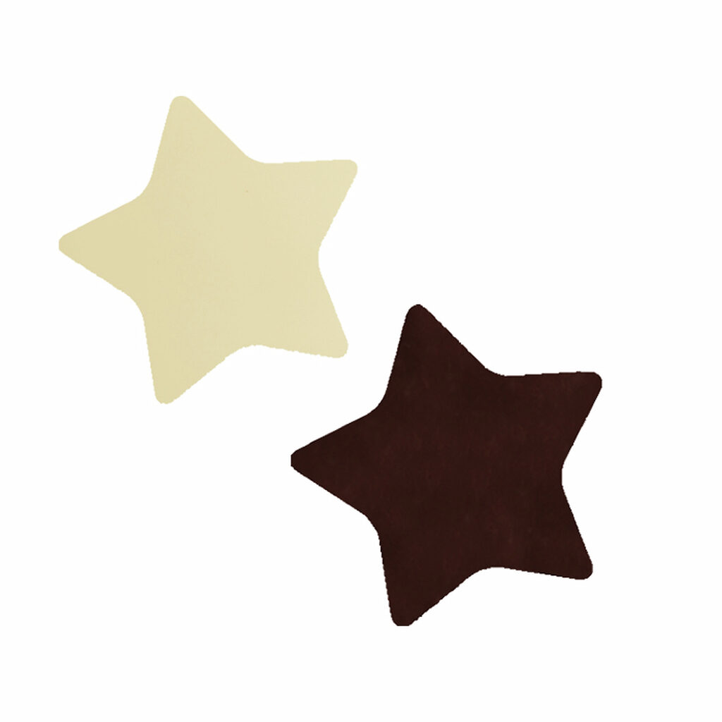 Etoiles de "Noël"