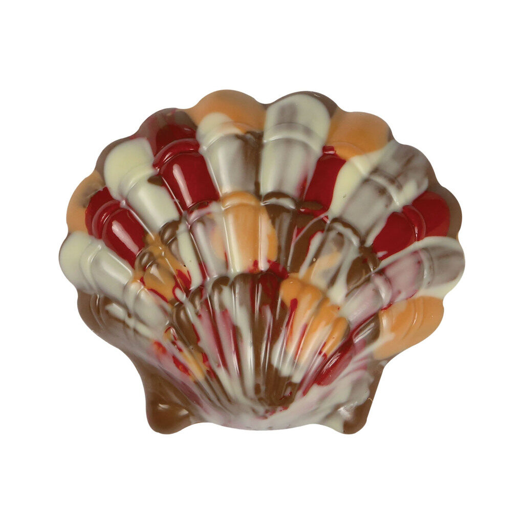 Moulage coquille St Jacques