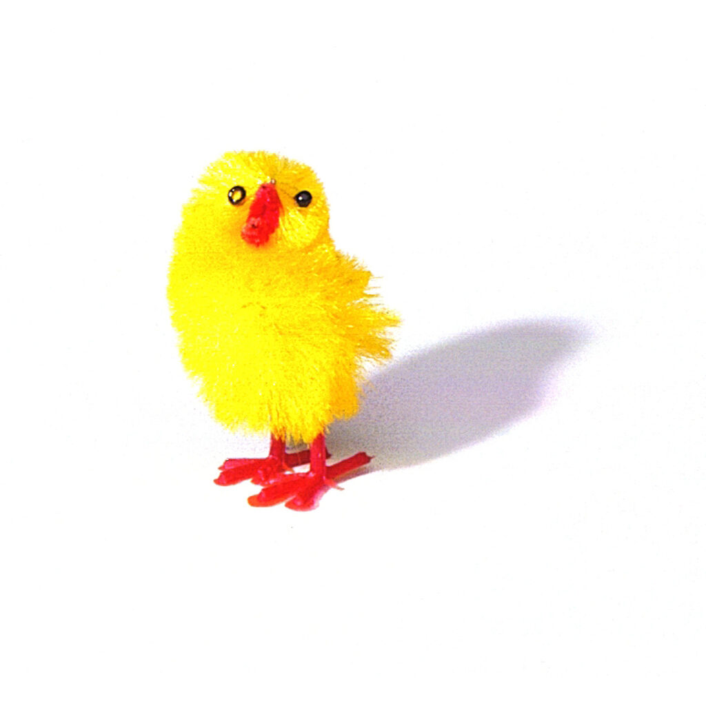 Sujets poussin jaune de Pâques