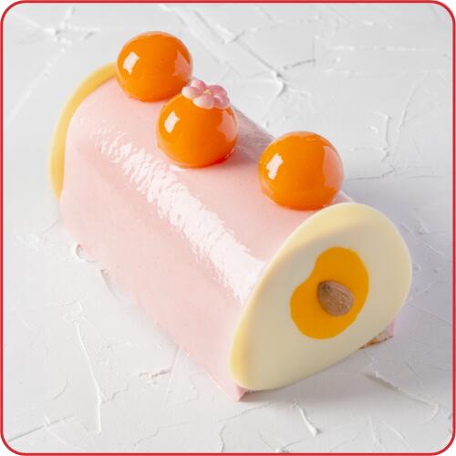 Bûche Roussillon